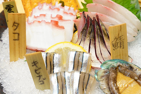 博多居酒屋推薦 酔灯屋 大啖水炊鍋 牛腸鍋 餃子 烏賊刺身 博多道地美食 讚 樂活的大方 旅行玩樂學