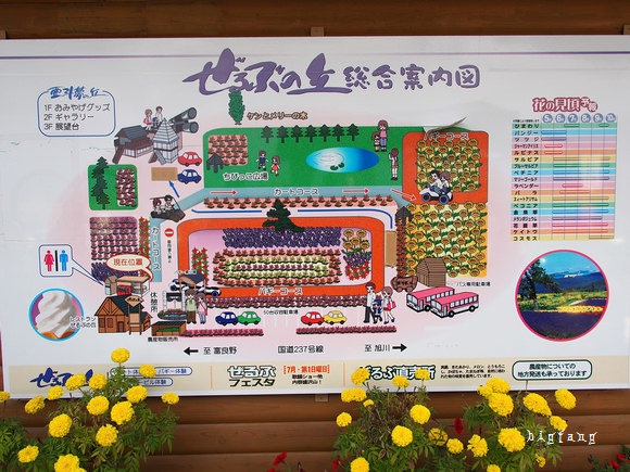 北海道旅遊自駕自由行 美瑛ぜるぶの丘亞斗夢之丘 北海道の花名所 漂亮的花園景點 樂活的大方 旅行玩樂學