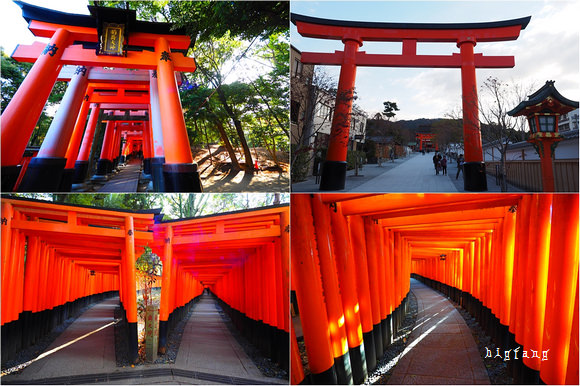 京都自由行 伏見稻荷神社 必看千本鳥居 狐狸神 樂活的大方 旅行玩樂學