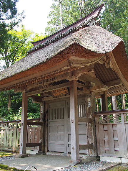 新潟县] 林泉寺   春日山神社 @ 探访天地人的故乡,参观天下无双的