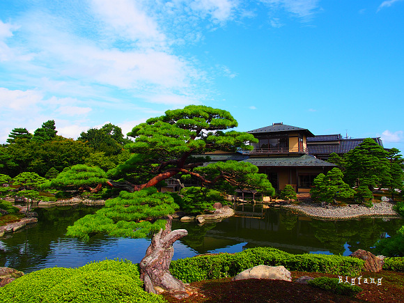 神話の國 島根 大根島由志園 在超美的迴遊式日本庭園 欣賞日本第一的牡丹花 樂活的大方 旅行玩樂學