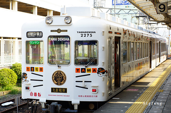 日本 和歌山縣 搭和歌山貓站長たま電車去看貓站長 回程搭草莓いちご