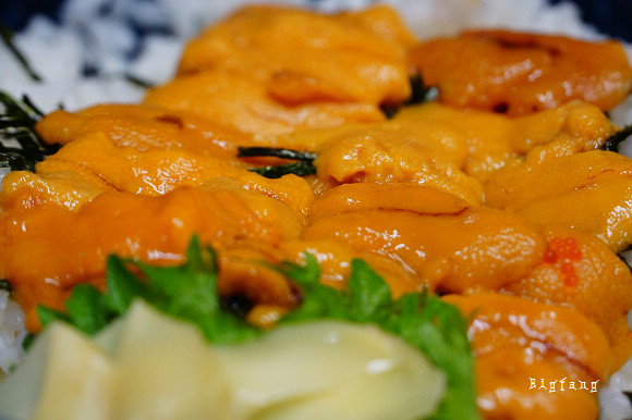 日本 東北 仙台朝市食べ処庄家 Cp值極高好吃的海鮮丼 朝市丼 樂活的大方 旅行玩樂學 日本 東北 仙台朝市食べ処庄家 Cp值極高好吃的海鮮丼 朝市丼 樂活的大方 旅行玩樂學