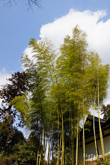 日本 東北 仙台瑞鳳殿 伊達政宗安息之地 華麗的桃山文化陵廟 樂活的大方 旅行玩樂學