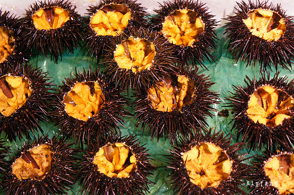 日本 東北之旅 宮城仙台朝市 仙台市民的廚房 來去買水果吧 樂活的大方 旅行玩樂學