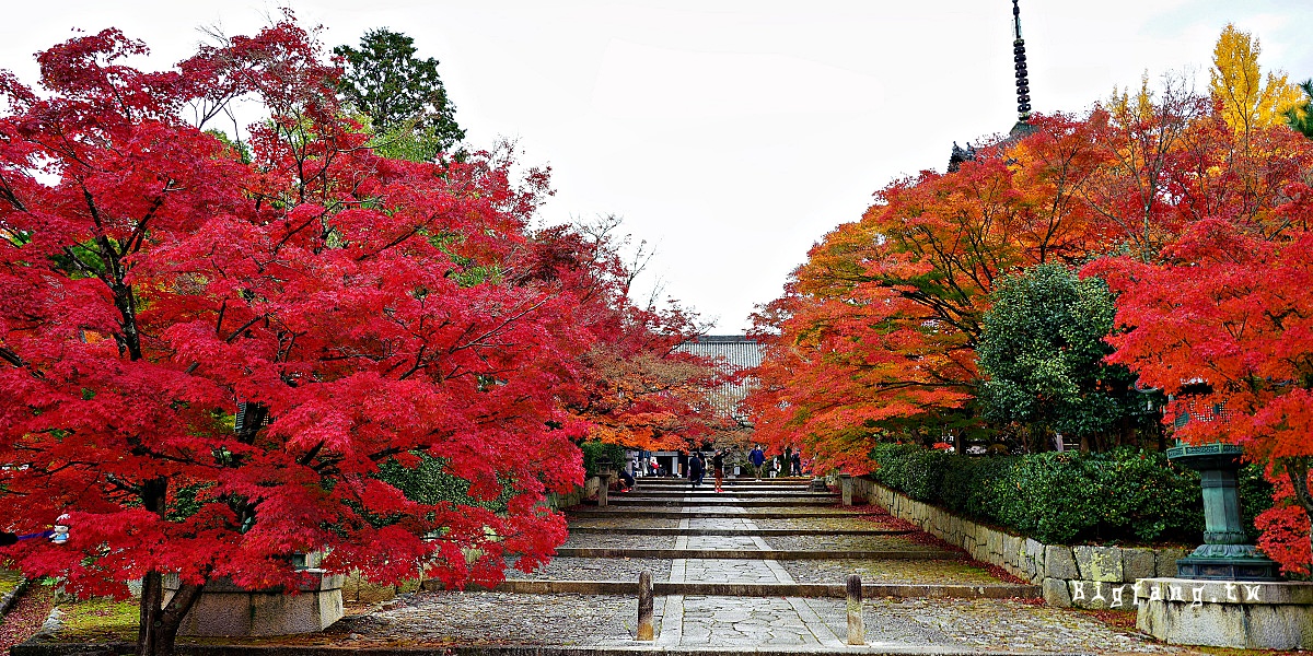 京都 真正極樂寺 真如堂 楓紅賞楓