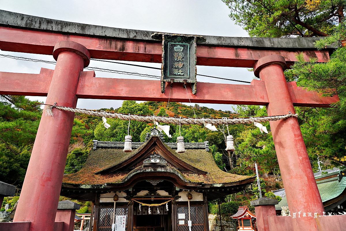 滋賀縣高島市 白鬚神社 湖中鳥居 日出