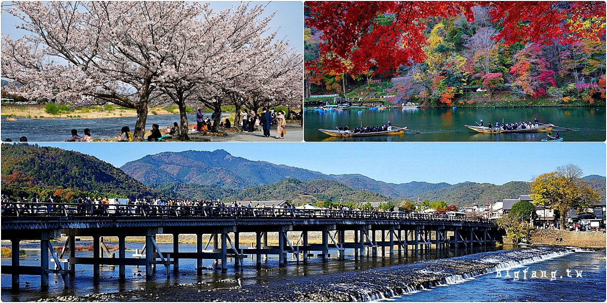 京都嵐山渡月橋 桂川 嵐山中之島公園 春天賞櫻櫻花