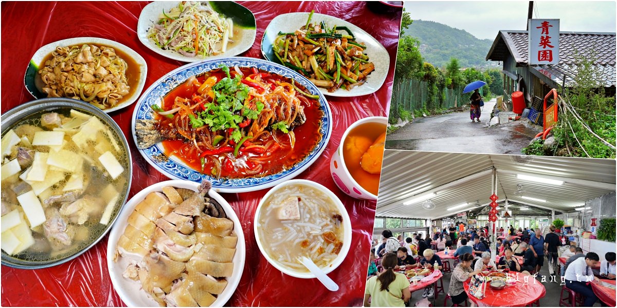 陽明山青菜園 陽明山土雞城
