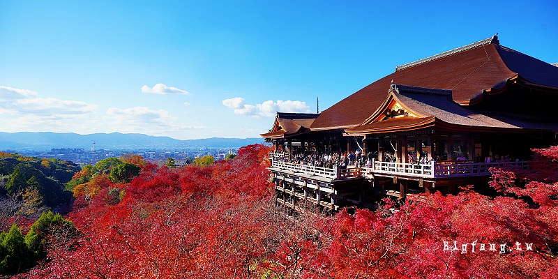 京都賞楓 清水寺