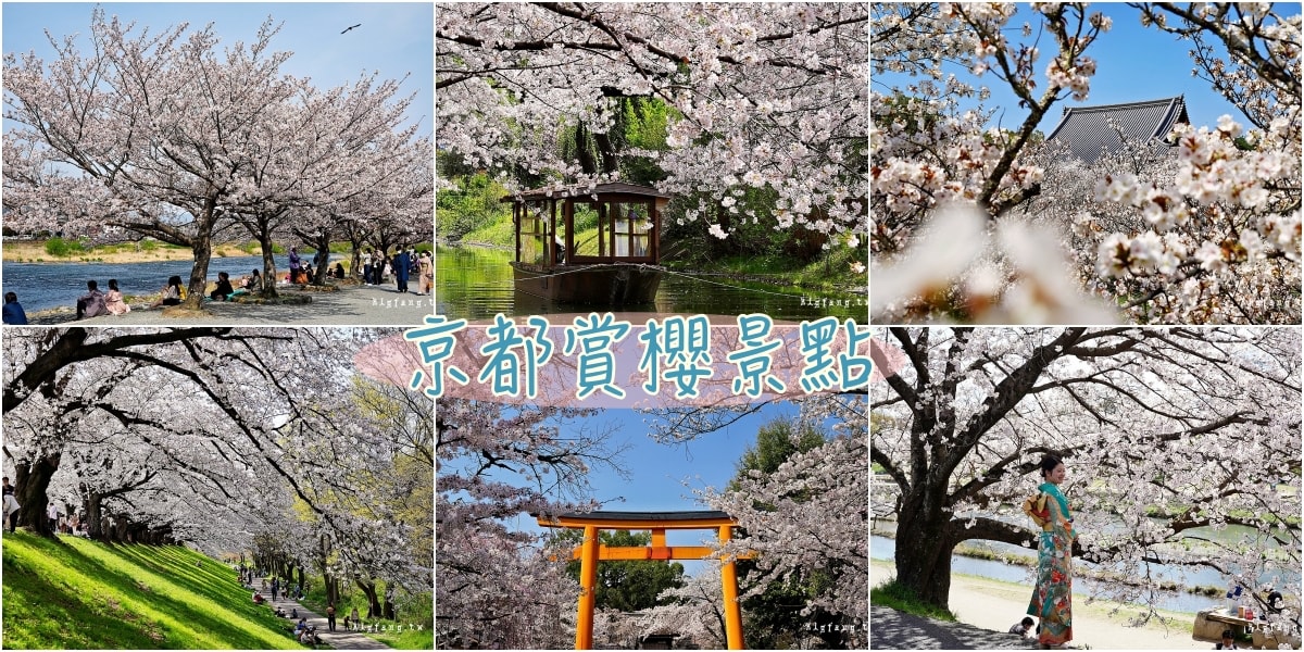 關西京都賞櫻景點