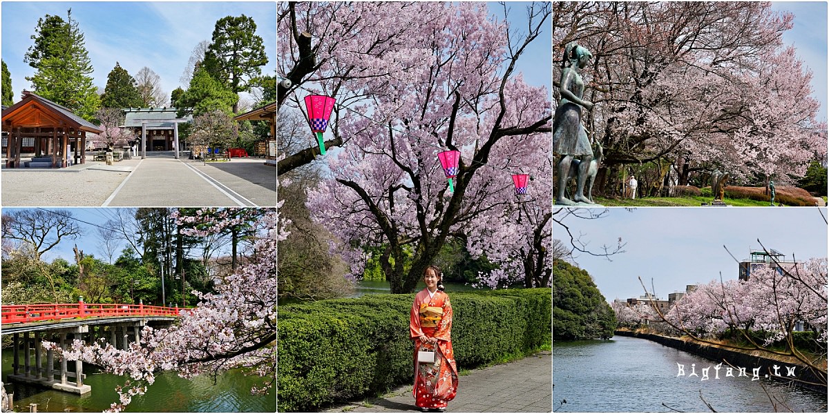 北陸富山縣賞櫻 高岡古城公園 射水神社 