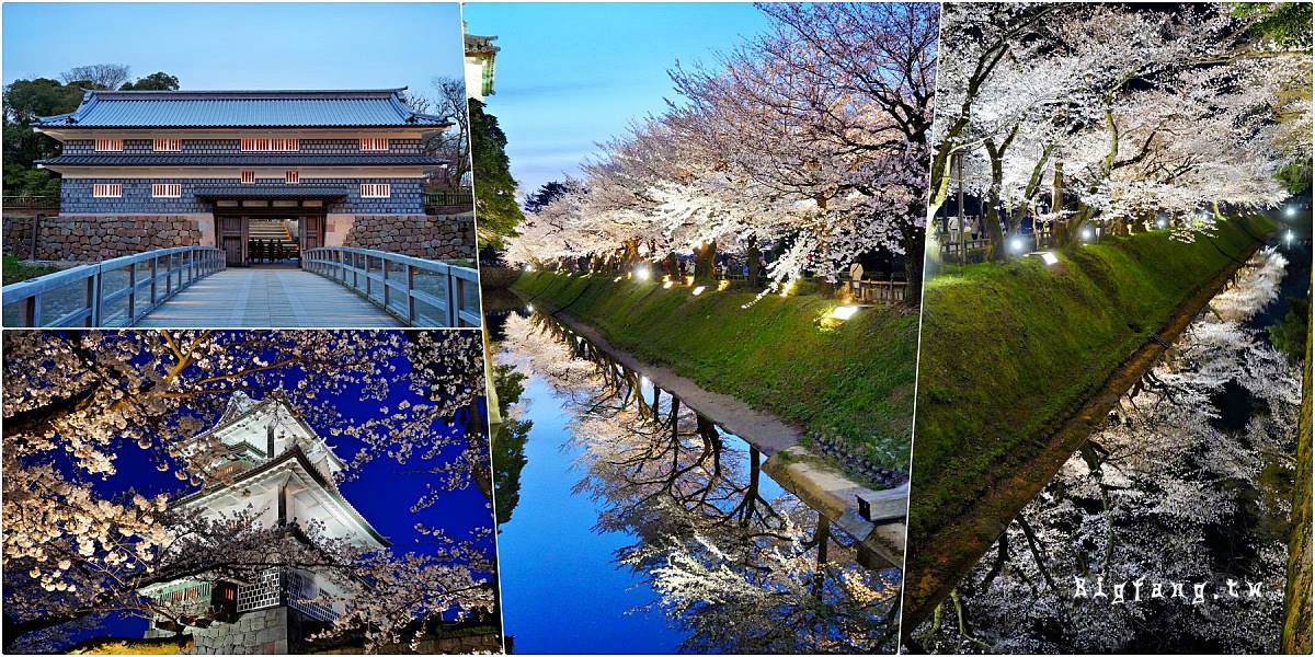 金澤城兼六園 夜櫻 賞櫻點燈