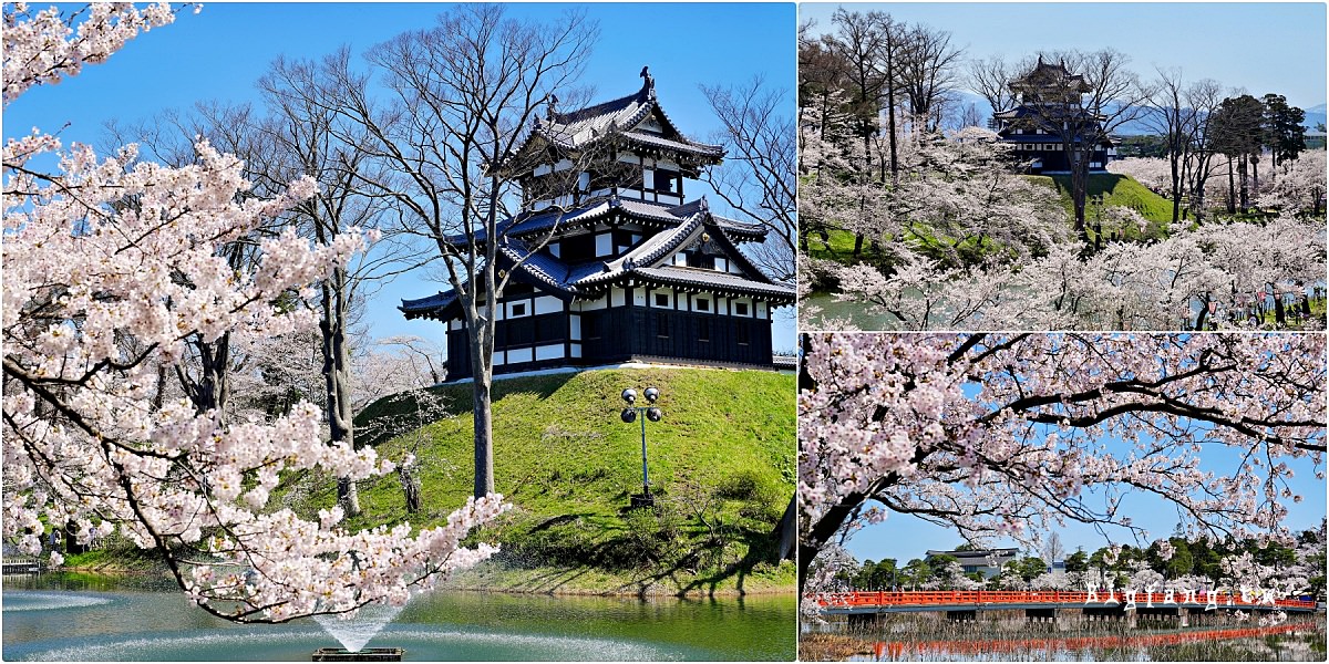 新潟縣上越市 高田城址公園 賞櫻櫻花 日本櫻名所100選
