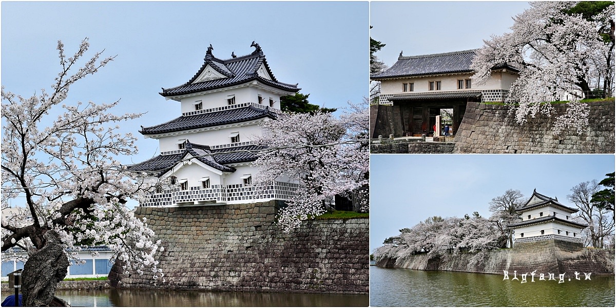 新潟 新發田城 櫻花 日本100名城