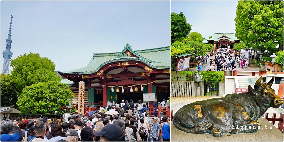 東京江東區 龜戶天神社 紫藤花 東宰府天滿宮