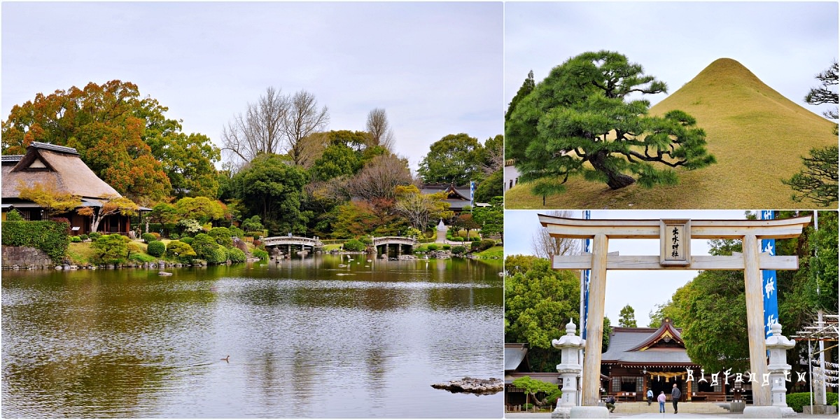 熊本市 水前寺 櫻花