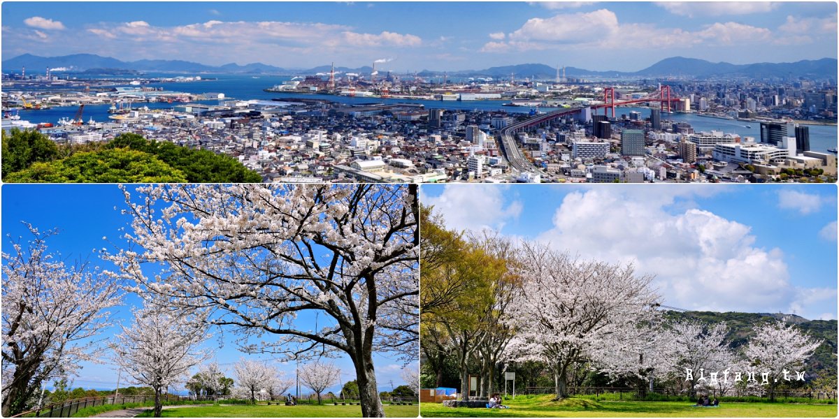 福岡北九州市 高塔山公園 賞櫻