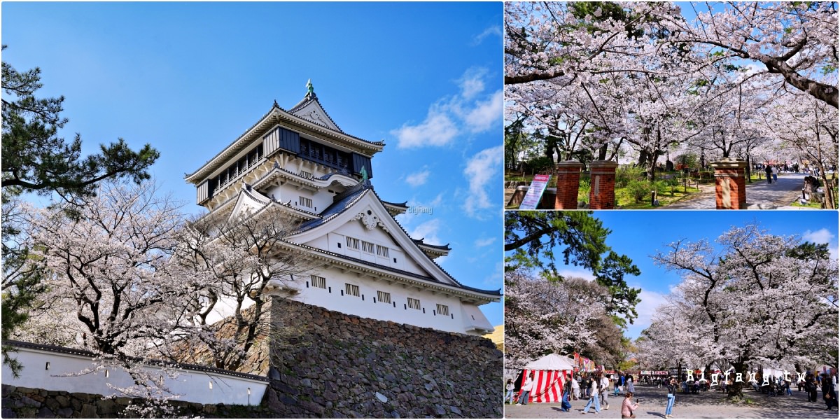 福岡北九州市 小倉城 賞櫻