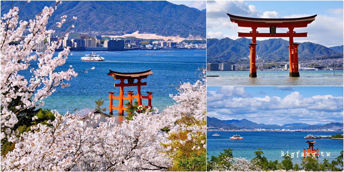 廣島縣 宮島 嚴島神社 櫻花