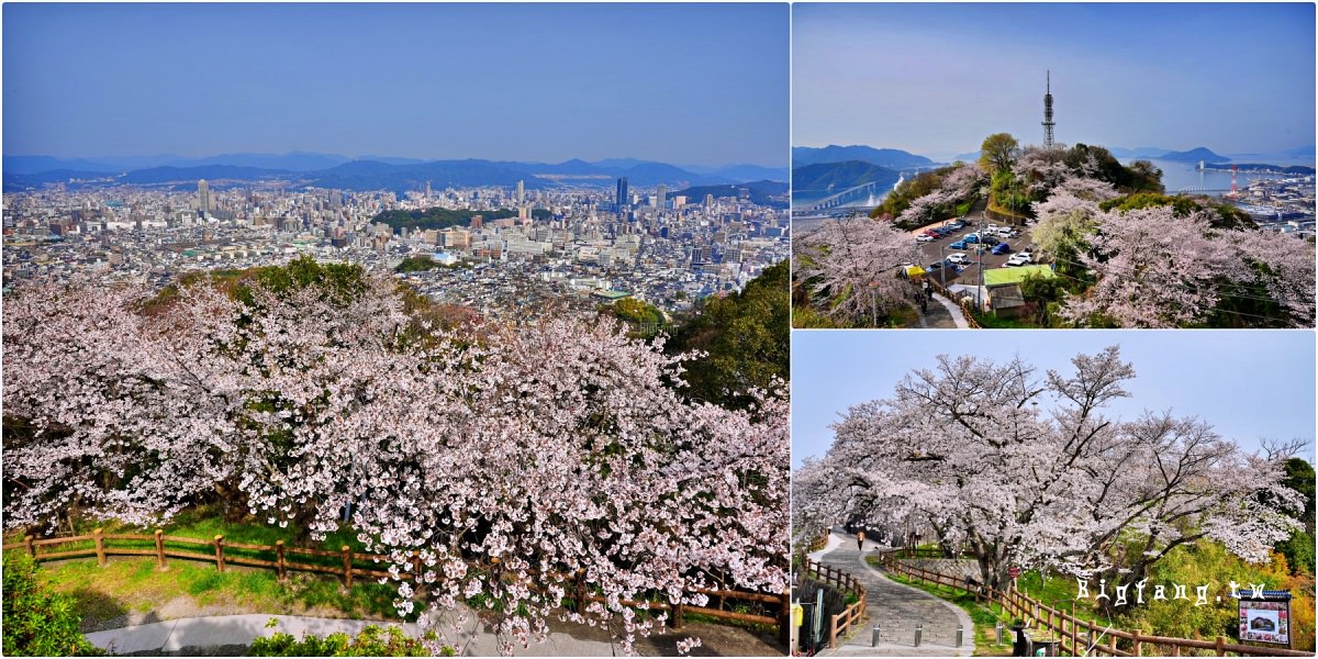 廣島市 黄金山公園 Koganeyama Park