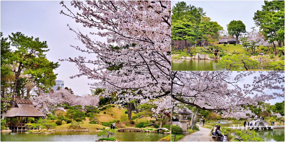 廣島市 縮景園
