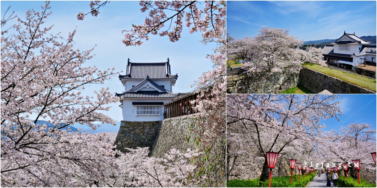 岡山縣津山市 津山城 櫻花